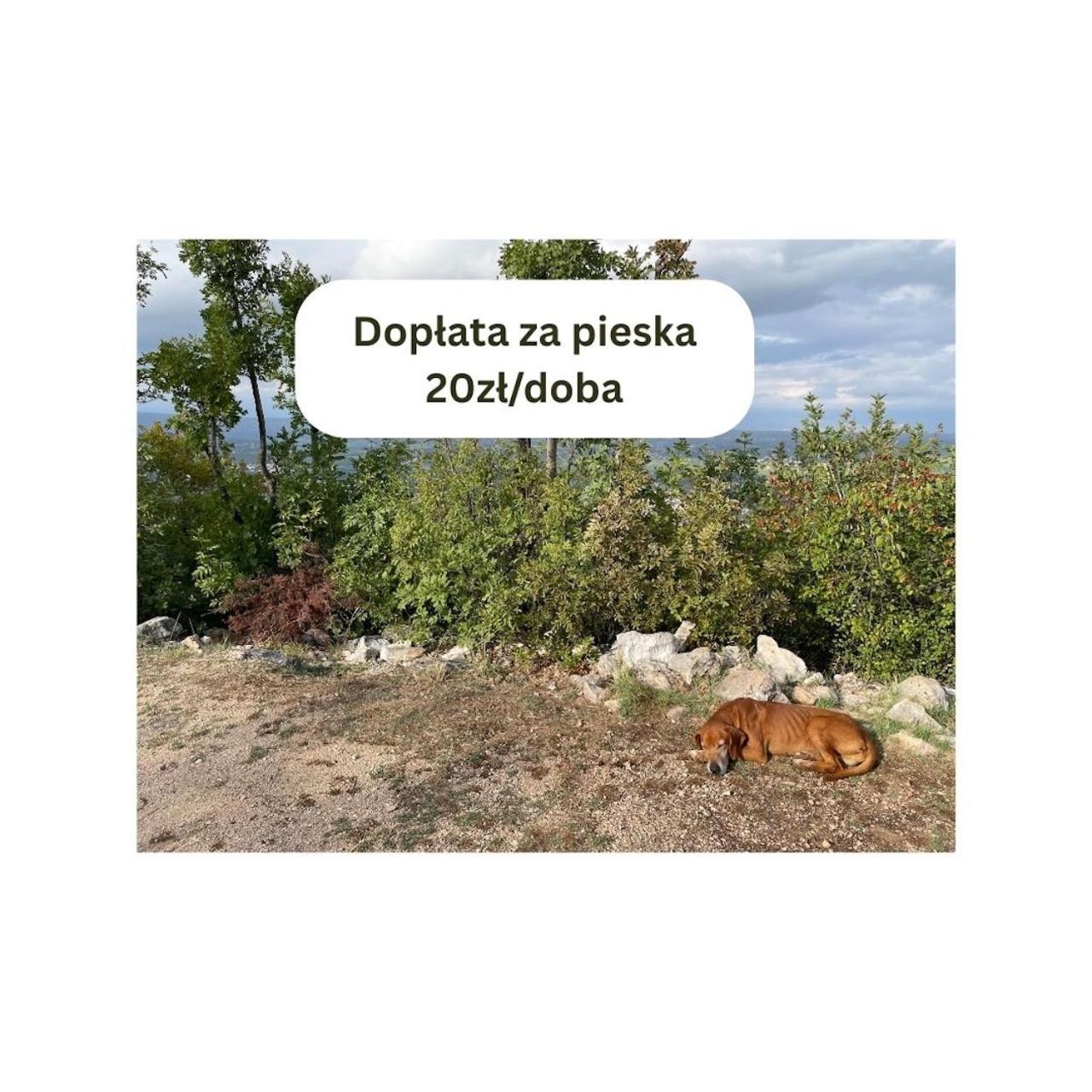 Lakowa Dolina - Domek Letniskowy Supraśl المظهر الخارجي الصورة